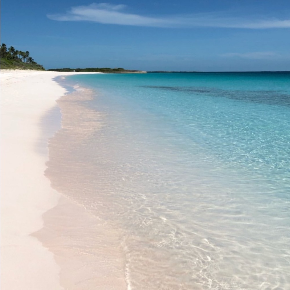 Meet your Posher, Jose